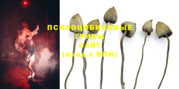 мет Баксан