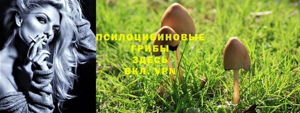 мет Баксан
